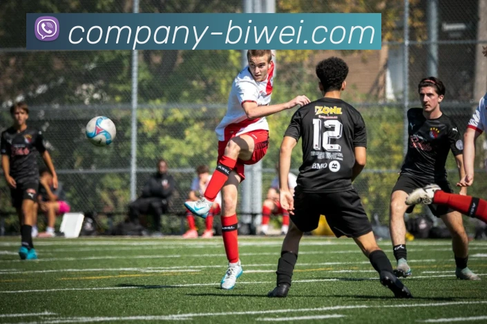 必威体育服务体系